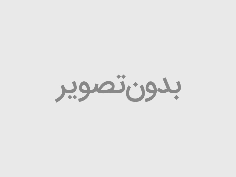 سرخ کن سیلور کرست مدل MZ2025 ظرفیت ۱۶ لیتر بدون روغن دو المنت
